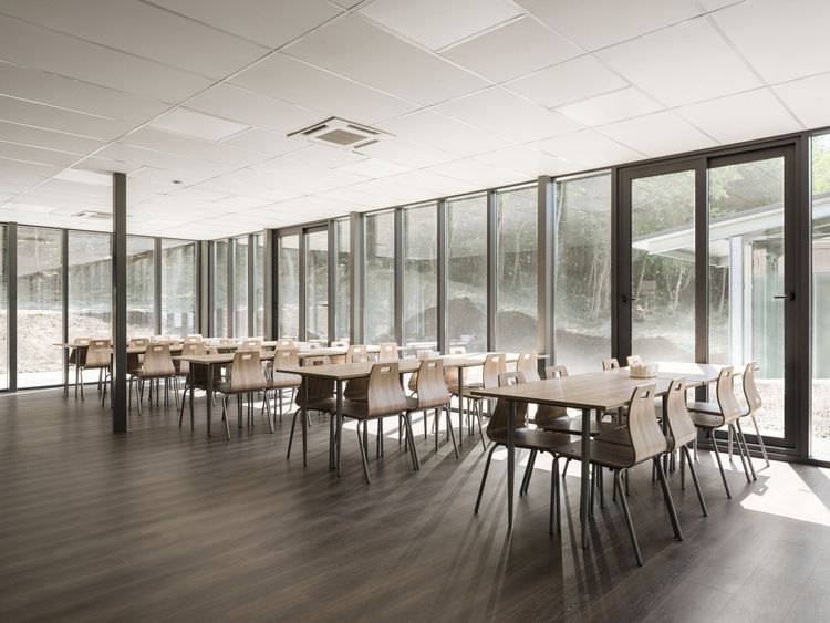 st_SD044445_4K 1.jpg